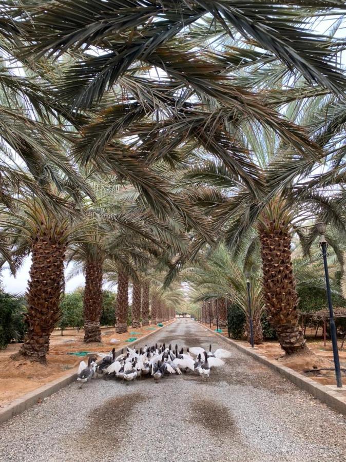 فيلا آفيري Aviary Villa Al Ula Exteriér fotografie